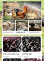 
			  金缘汤禽店：三明农副产品